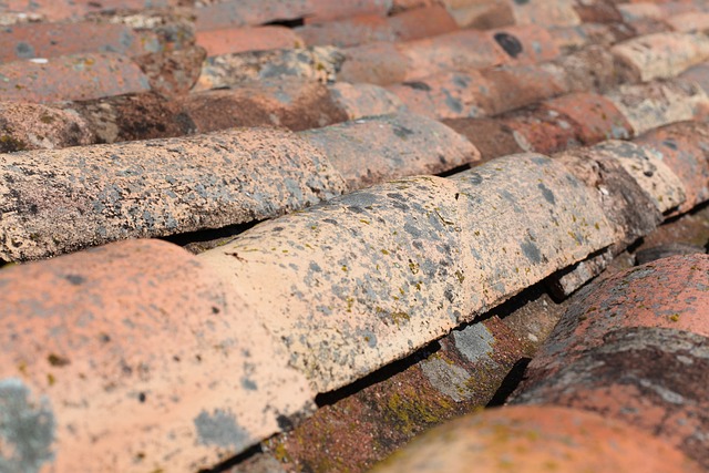 Houston Roof Repair: Flat to Steep, We Cover Every Need