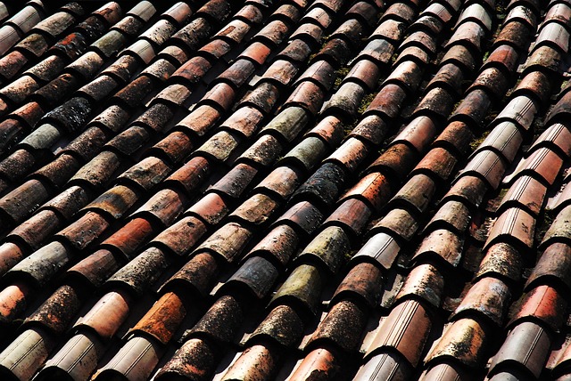 Houston, roof, roof repair