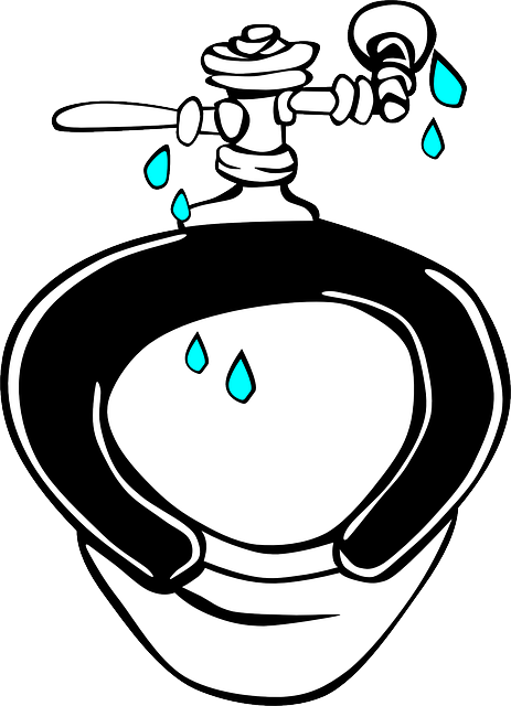 Plumber, plumbing