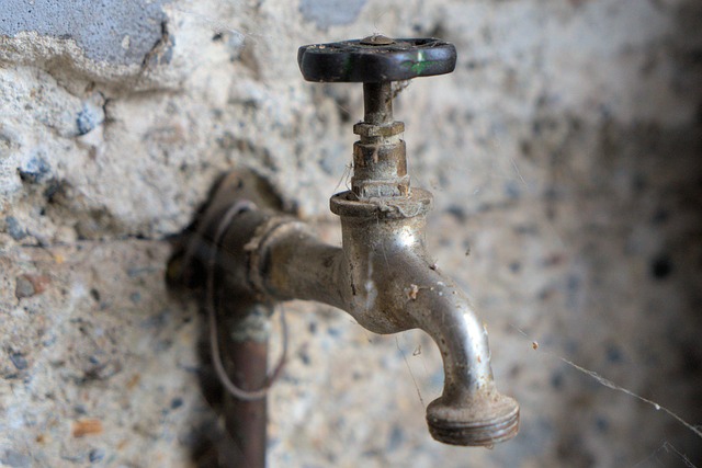 Plumber, plumbing