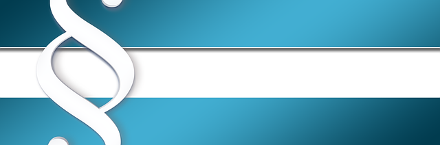 Accident Lawyer Huntsville AL: Your Guide Through Legal Procedures
