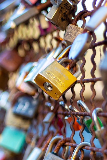 best locksmith in Putney