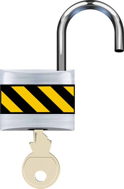 expert home locksmith in Putney London